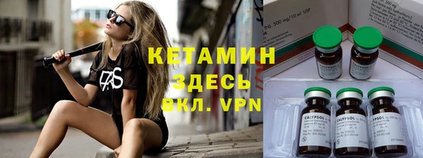 крисы Дмитров