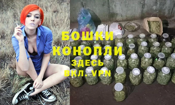 гидра Дмитриев