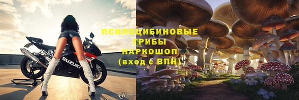 гидра Дмитриев