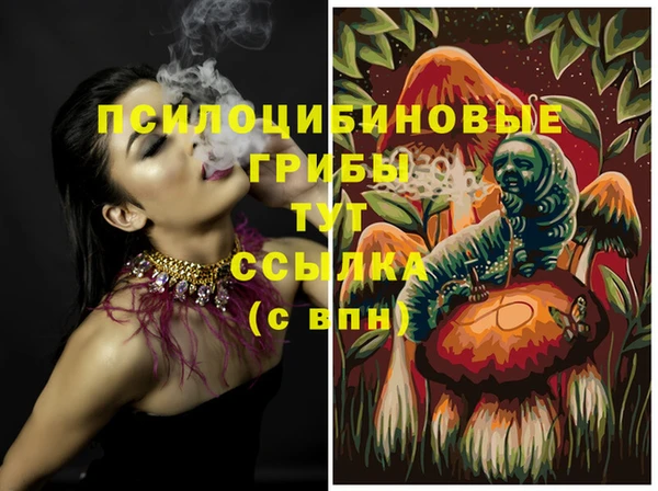 крисы Дмитров